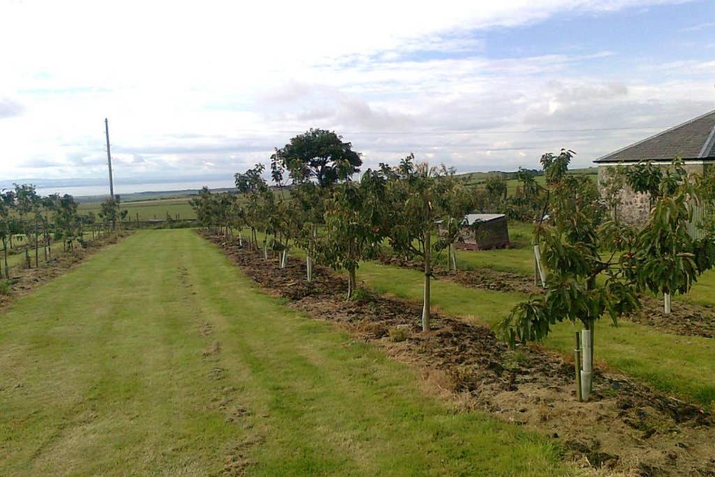 Вілла Knightsward Farm Near St Andrews, Scotland Анструтер Екстер'єр фото