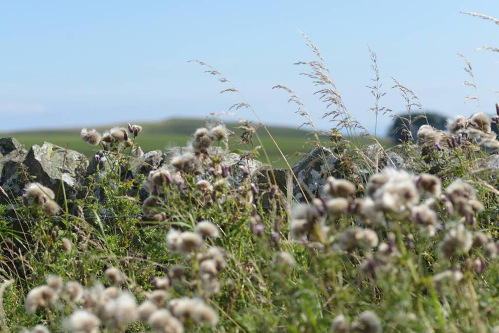 Вілла Knightsward Farm Near St Andrews, Scotland Анструтер Екстер'єр фото